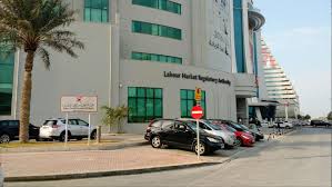 Task force sought to verify expat workers’ credentials